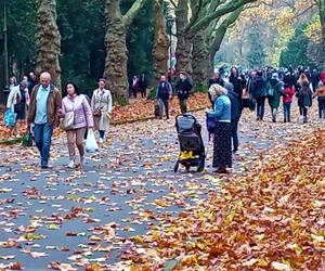 Dzień Wszystkich Świętych na Cmentarzu Centralnym w Szczecinie