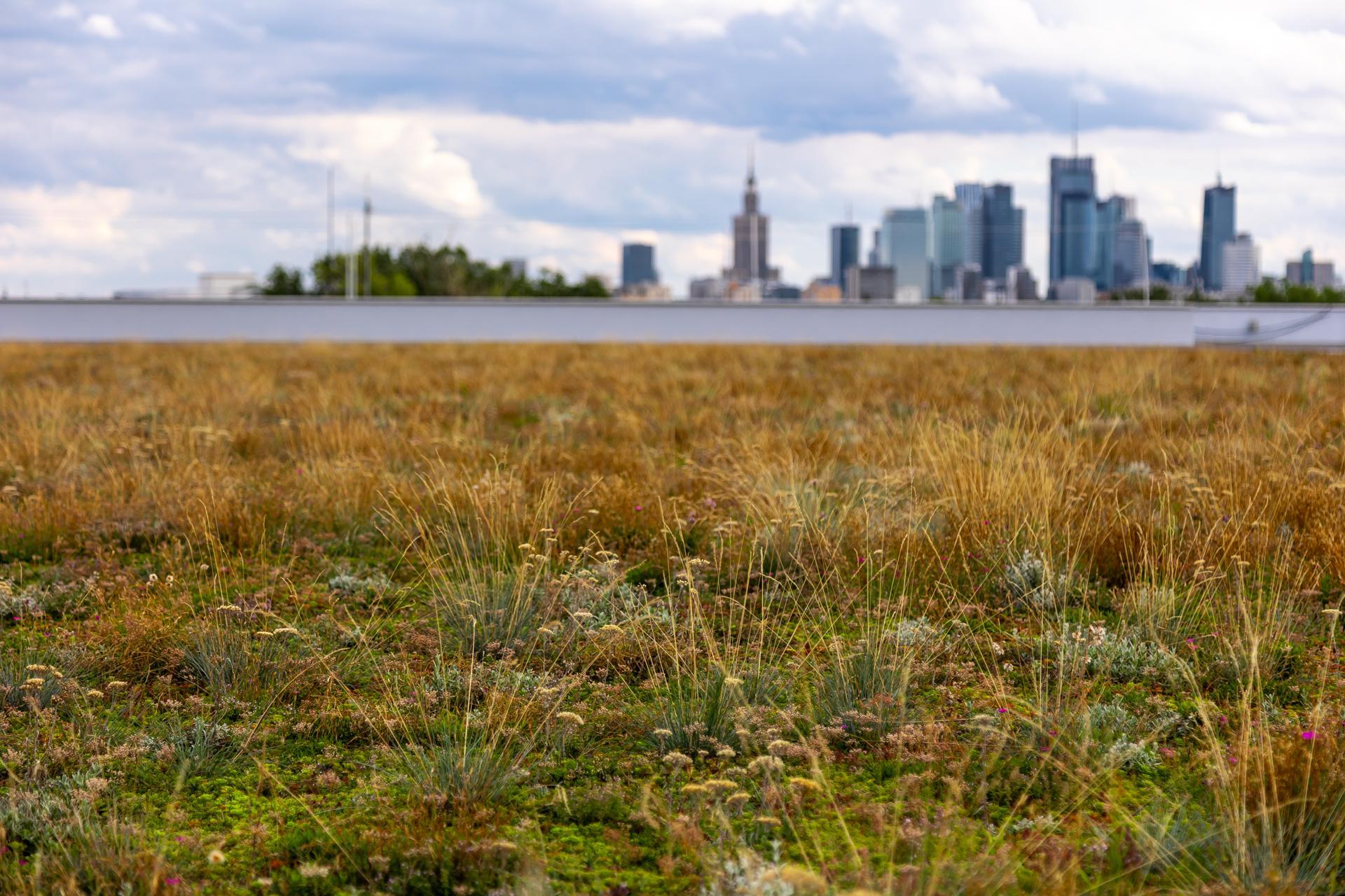 Muzeum Historii Polski na dzień przed otwarciem