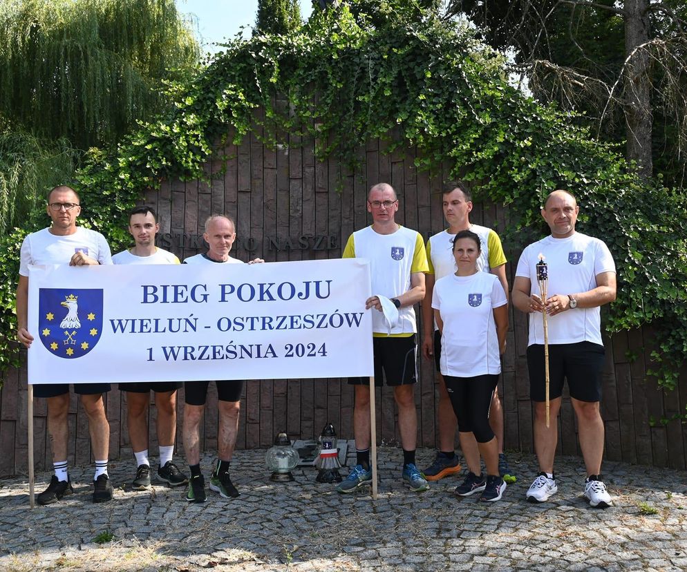zdjęcie poglądowe