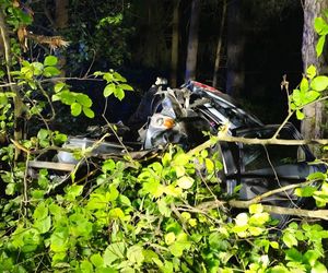 Kierowca seata nie żyje. Auto roztrzaskało się na drzewie. Tragiczny wypadek na DK 65