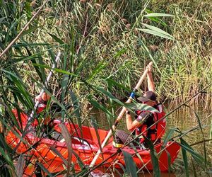 Pani Marianna dwa dni temu zniknęła z domu. Szuka jej zrozpaczona rodzina i policja