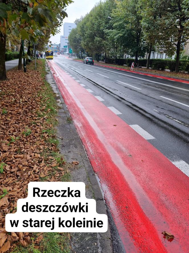 Pasy rowerowe na ul. Sokolskiej. Mieszkańcy mówią wprost: "Fuszerka"