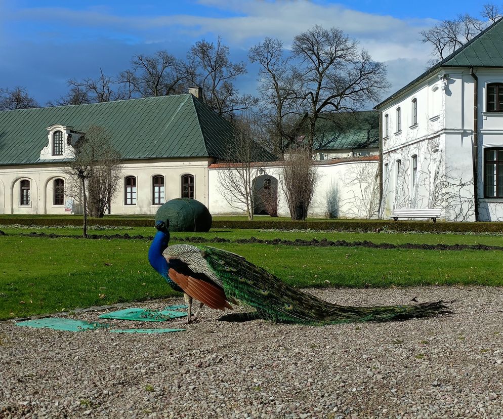 Muzeum Zamoyskich w Kozłówce wczesną wiosną