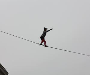   Urban Highline Festival 2023 w Lublinie. Slacklinerzy robią cuda na linach!