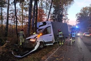Kierowca cudem przeżył! Na drogę wyskoczyły mu nagle dziki