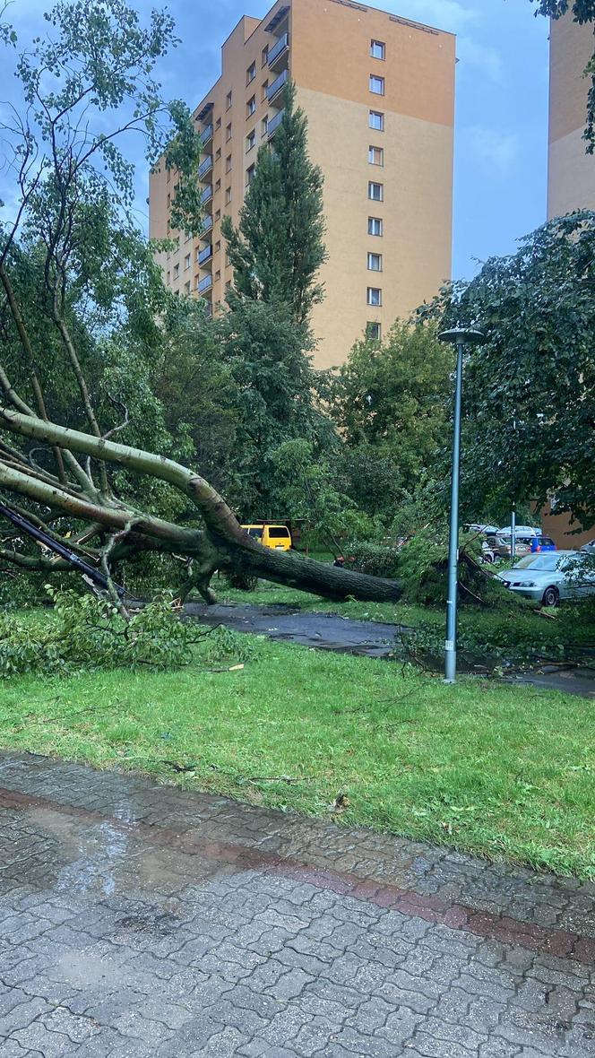 Burze przeszły przez województwo śląskie. Blisko 200 interwencji strażaków. Najwięcej w powiecie raciborskim