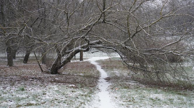 No i przyszła! Zima w Lublinie. Tak wygląda Park Rury