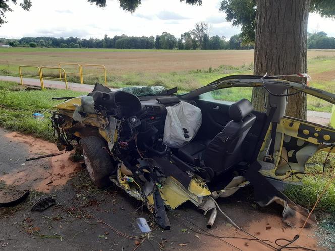 Śmiertelny wypadek pod Świebodzinem. Auto 37- i 32-latka zostało rozerwane na strzępy [ZDJĘCIA].