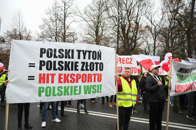Protest plantatorów tytoniu w Warszawie (3.11.2025)