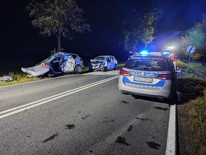 Tragiczny finał manewru w niedozwolonym miejscu