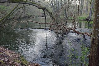 Rowerem przez Bory Tucholskie. Na tym szlaku zobaczymy aż trzy akwedukty, a to godzina jazdy z Bydgoszczy 