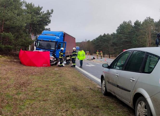 Tragiczny wypadek w miejscowości Przyłubie pod Bydgoszczą. Zdjęcia z miejsca zdarzenia