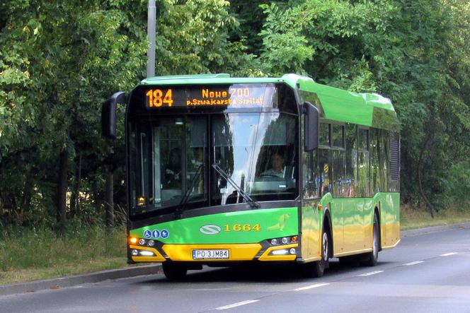 Poznań: Będzie można dojechać do Nowego ZOO autobusem! [SZCZEGÓŁY]