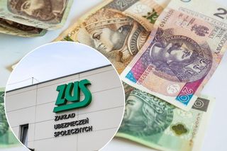 Ponad 52 tys. mieszkańców Kujawsko-Pomorskiego pobiera rentę wdowią. Chętnych było więcej. Kiedy ZUS odrzuca wniosek? 