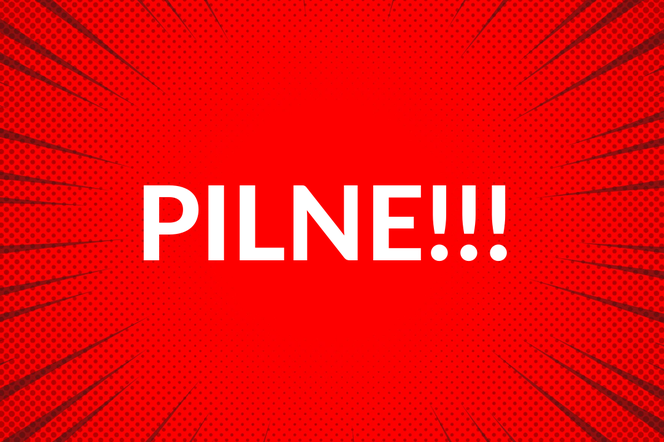 PILNE
