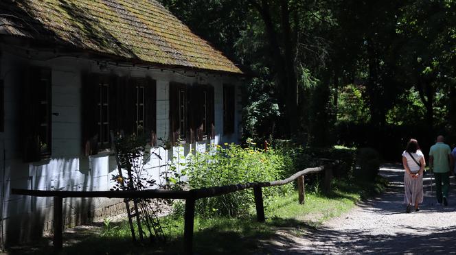 Ciepło i leniwie. Tak wygląda czerwcowe popołudnie w lubelskim skansenie. Zobacz