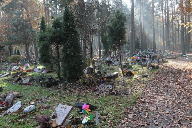 Niezwykły cmentarz pod Warszawą. To miejsce nasycone miłością i żalem. „Przychodzę tutaj co tydzień”