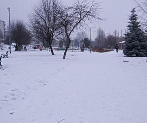 Zima w Świętokrzyskiem. Skarżysko-Kamienna w białym puchu. Zobacz zdjęcia