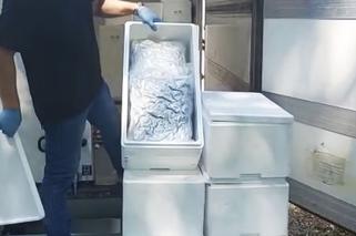 35 kilogramów marihuany w małżach