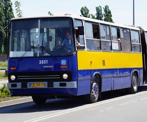 Zlot zabytkowych autobusów 2022 w Bydgoszczy [ZDJĘCIA] 