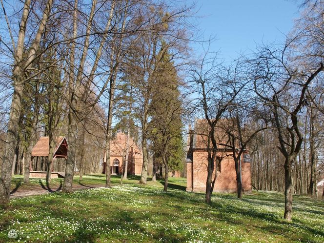 Malutką wieś nazywają "Warmińską Jerozolimą". Przyciąga prawdziwe tłumy