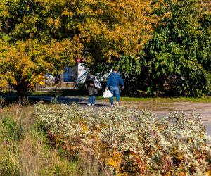 Park linearny na Bielanach w Warszawie