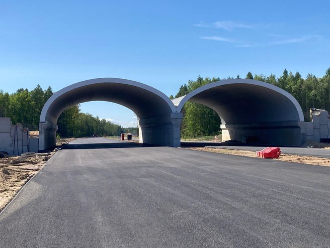 Budowa odcinka S19 Haćki-Bielsk Podlaski