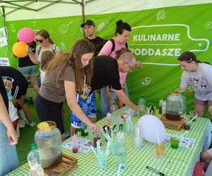 Wielki Finał Wakacji z CARSED w Siedlcach
