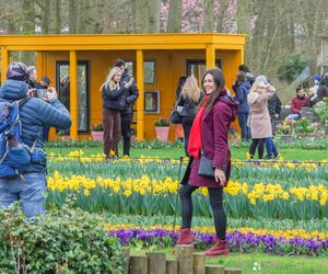 Ogród Keukenhof w Holandii