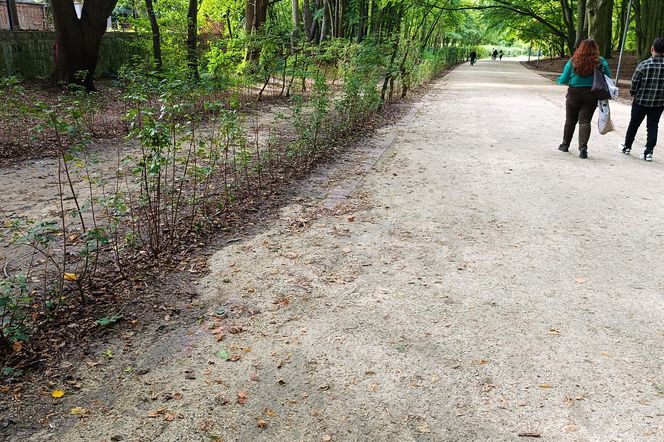 Usterki na Alei Fałata