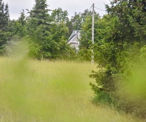 Śmierć Edyty Rynkowskiej.