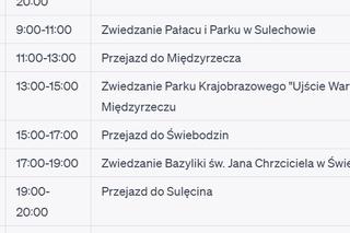 Oto jak sztuczna inteligencja zaplanowała wycieczkę po Lubuskiem