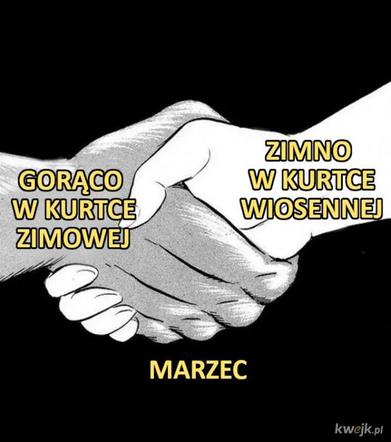 Pierwszy Dzień Wiosny - memy