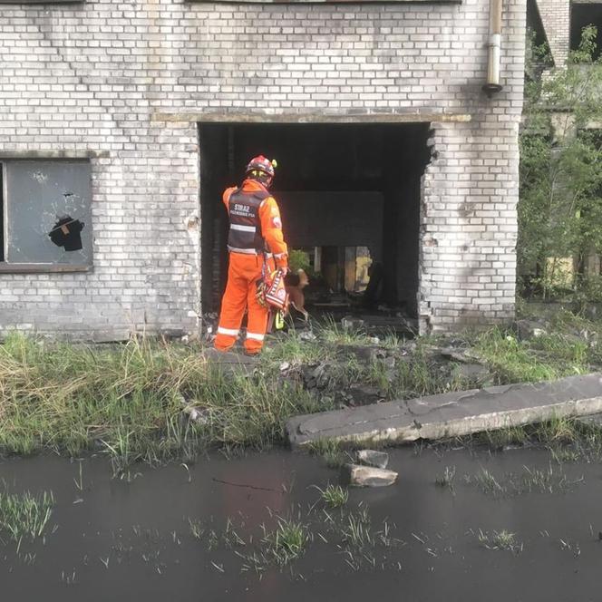 Przy kopalni Mysłowice ZAWALIŁ SIĘ budynek! Rannych szukali Robroy i Piorun