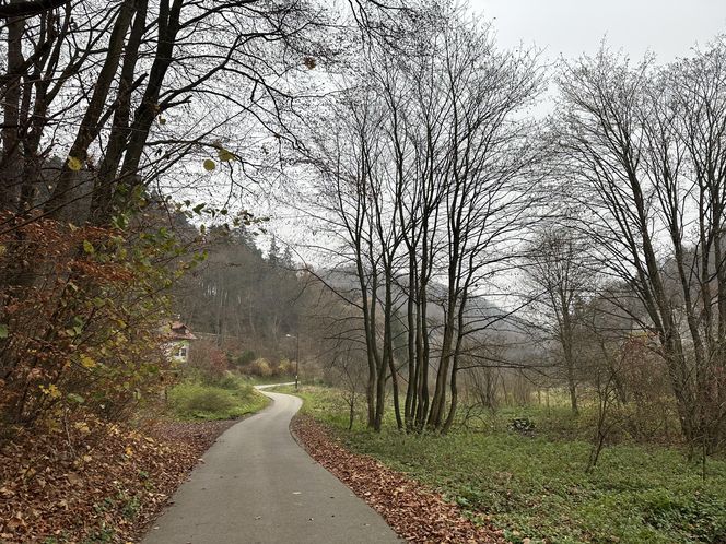 Najpiękniejsza wieś w Małopolsce zachwyca także jesienią. Leży na Szlaku Orlich Gniazd