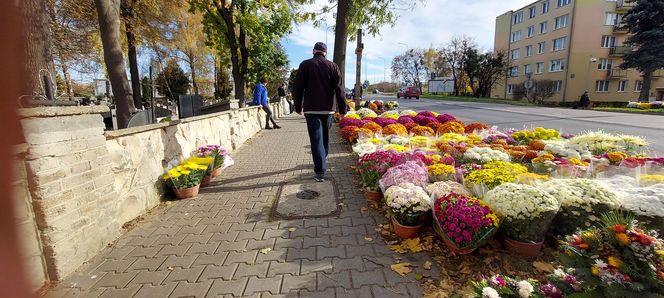 Przygotowania do Wszystkich Świętych Zamość