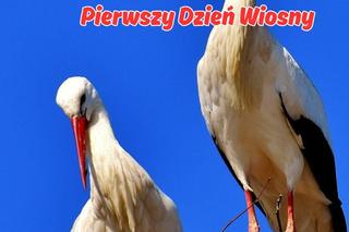 Kartki na pierwszy dzień wiosny 21 marca