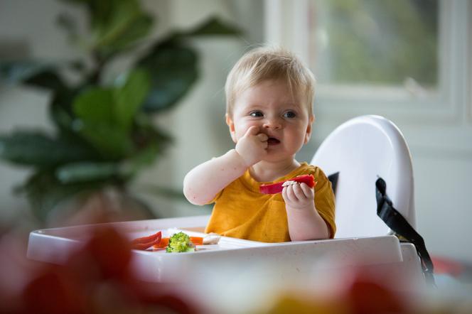 niemowlę w krzesełku jedzące paprykę i brokuły