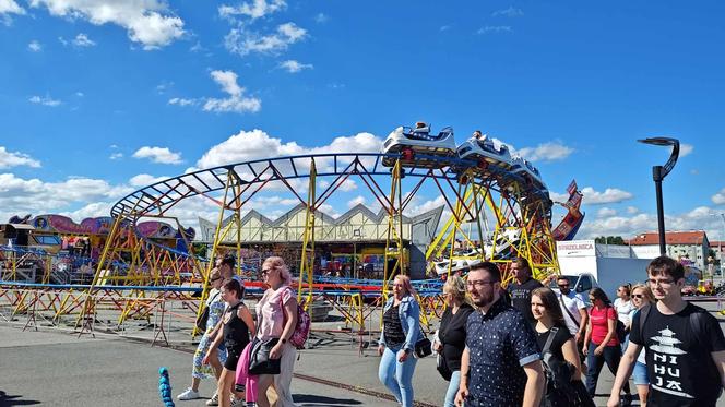 Wrocławski Festiwal Dobrego Piwa. Wielkie święto piwoszy przy stadionie 