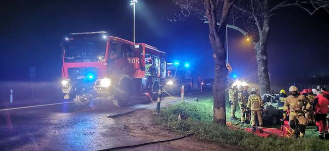 19-letni pasażer nie żyje, kierowca w krytycznym stanie