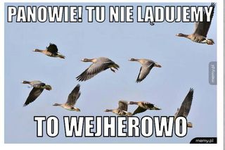 Dlaczego śmiejemy się z Wejherowa? Stolica małego trójmiasta w krzywym zwierciadle [GALERIA]