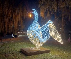 Miasto płonie... iluminacjami świątecznymi! Zobacz, jak pięknie wygląda Gdańsk