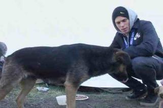 Gus Kenworthy ratuje psy z Soczi