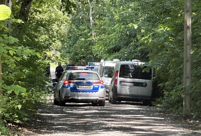 Znokautował policjanta przed sądem i zwiał. Michał ukrywał się w mieszkaniu swojej znajomej. „Był zdziwiony i zaskoczony”