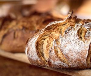 Chleb z siemienia lnianego to niskowęglowodanowy hit. Nie potrzebuje drożdży, ma mnóstwo zdrowych tłuszczów i błonnika