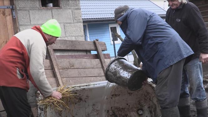 Rolnicy. Podlasie. Słynne błoto na podwórku Gienka i Andrzeja z Plutycz. Koszmar! Nie da się chodzić