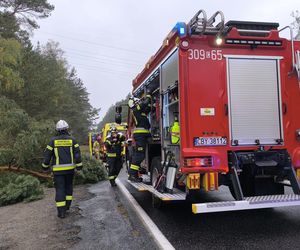 45-latek wjechał wprost pod nadjeżdżającą ciężarówkę! Tragedia w Bydgoszczy 