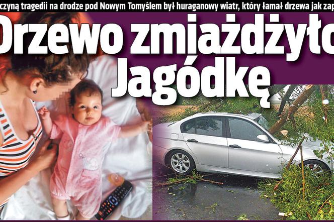 Drzewo zmiażdżyło Jagódkę