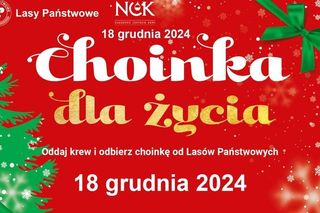 Choinki za krew