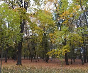 Park Lubomirskich w Białymstoku jesienią 